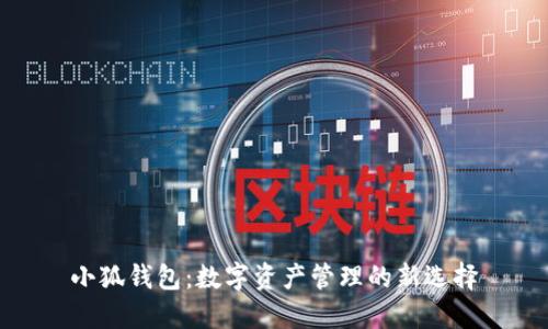 小狐钱包:数字资产管理的新选择