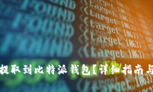 如何将瑞波币提取到比特派钱包?详细指南与常见问题解答