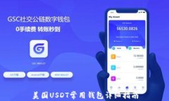 美国USDT常用钱包详细指南