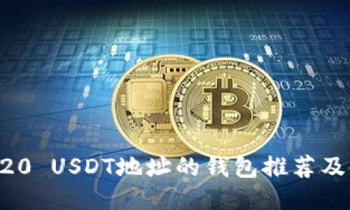 支持TRC20 USDT地址的钱包推荐及使用指南