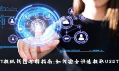 USDT提现钱包选择指南：如何安全快速