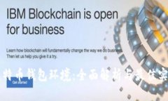 比特币钱包环境：全面解析与最佳实践