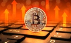   Metamask钱包Fork：深度解析与使用指南