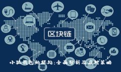 小狐钱包的坏处：全面分析及应对策略