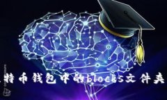 全面解析比特币钱包中的blocks文件夹及