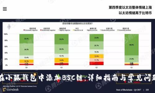 如何在小狐钱包中添加BSC链:详细指南与常见问题解答