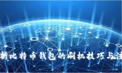 全面解析比特币钱包的刷机技巧与注意