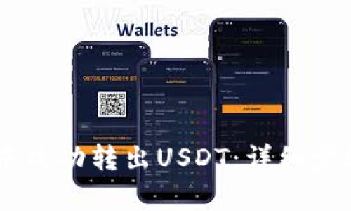 如何从Onto钱包中成功转出USDT：详细步骤与常见问题解析