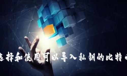 如何选择和使用可以导入私钥的比特币钱包