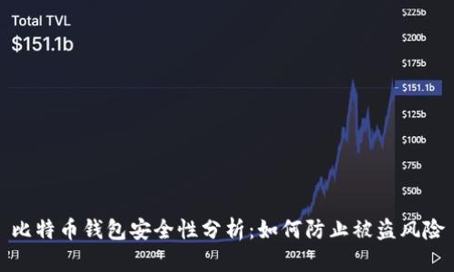 比特币钱包安全性分析:如何防止被盗风险