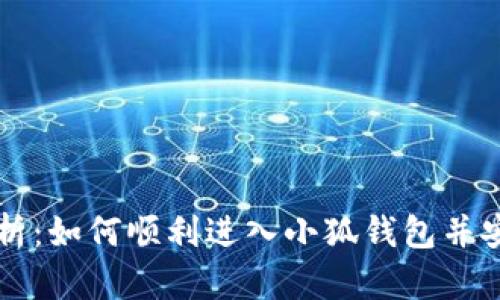 全面解析:如何顺利进入小狐钱包并安全使用