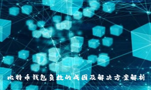 比特币钱包负数的成因及解决方案解析