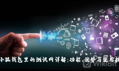 : 小狐钱包里的测试网详解:功能、优势与使用技巧
