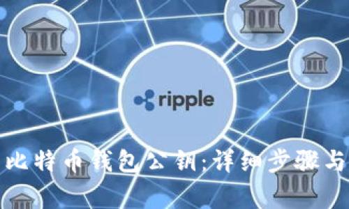 如何生成比特币钱包公钥:详细步骤与注意事项
