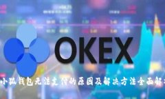  小狐钱包无法支付的原因及解决方法