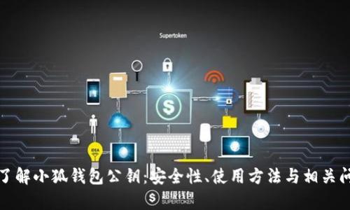 : 深入了解小狐钱包公钥:安全性、使用方法与相关问题解析