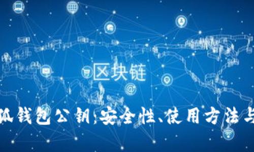 : 深入了解小狐钱包公钥:安全性、使用方法与相关问题解析