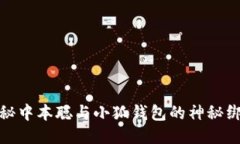 揭秘中本聪与小狐钱包的神秘绑定