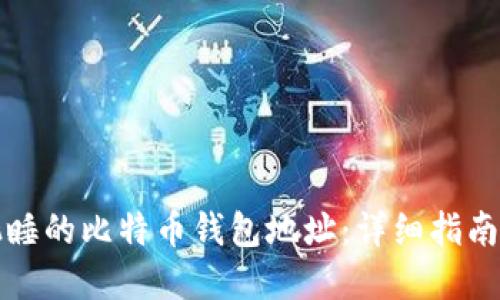 如何找到沉睡的比特币钱包地址:详细指南与实用技巧