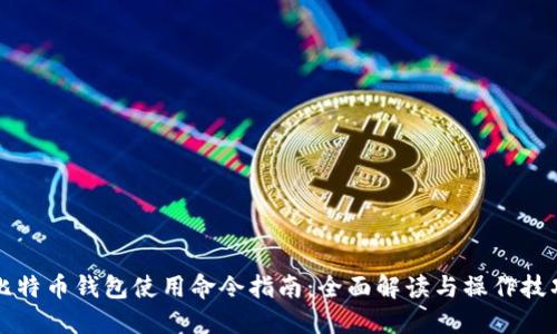比特币钱包使用命令指南:全面解读与操作技巧
