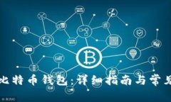 如何设置比特币钱包：详细指南与常见