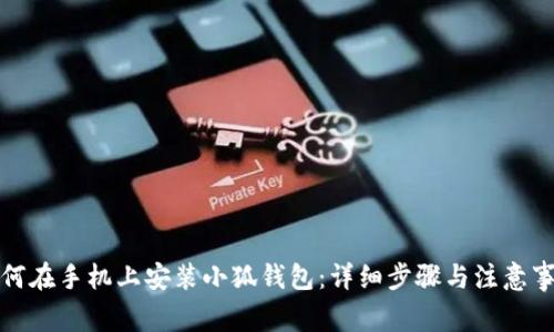 如何在手机上安装小狐钱包:详细步骤与注意事项