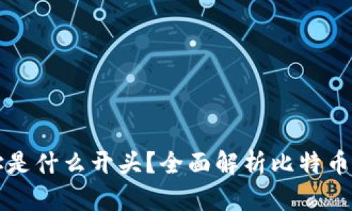比特币钱包地址是什么开头？全面解析比特币地址种类与特点