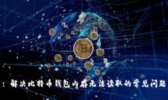 : 解决比特币钱包内存无法读取的常见