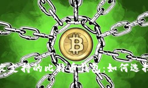 全面解析中文支持的比特币钱包:如何选择及使用指南