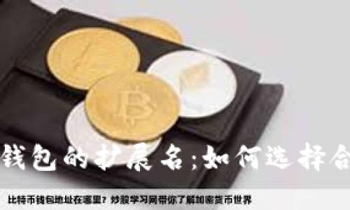 深入探讨比特币钱包的扩展名:如何选择合适的比特币钱包