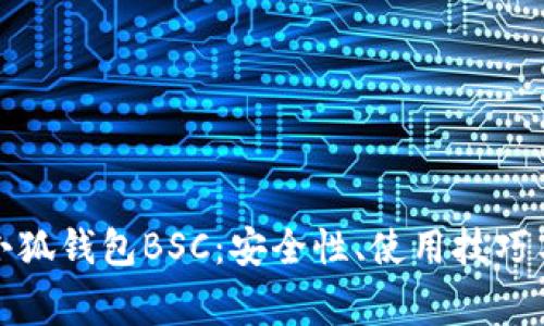 全面解析小狐钱包BSC:安全性、使用技巧与常见问题