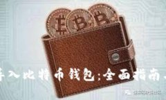 如何批量导入比特币钱包：全面指南与