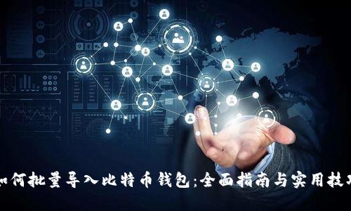 如何批量导入比特币钱包:全面指南与实用技巧