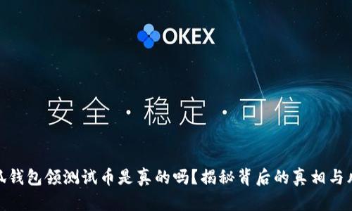 小狐钱包领测试币是真的吗?揭秘背后的真相与风险