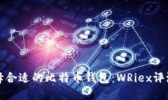 如何选择合适的比特币钱包：WRiex评测
