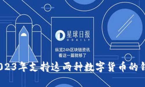 比特币与莱特币:2023年支持这两种数字货币的钱包选择及使用指南
