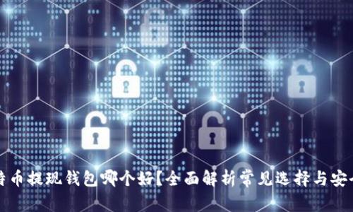 比特币提现钱包哪个好?全面解析常见选择与安全性