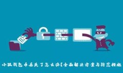 小狐钱包币丢失了怎么办？全面解决方