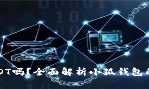 小狐钱包支持USDT吗?全面解析小狐钱包的功能与使用指南