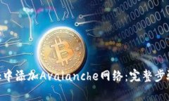 如何在MetaMask中添加Avalanche网络：完整