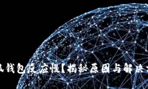 小狐钱包反应慢?揭秘原因与解决方案