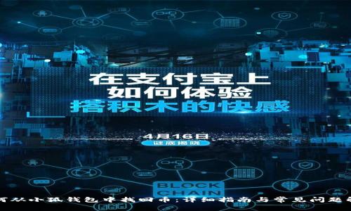 如何从小狐钱包中找回币:详细指南与常见问题解答
