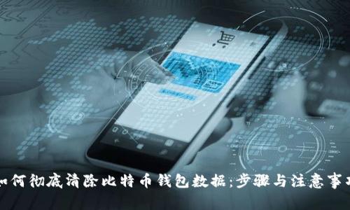 如何彻底清除比特币钱包数据:步骤与注意事项