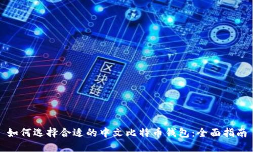 如何选择合适的中文比特币钱包:全面指南