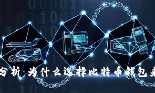 比特币钱包的优势分析:为什么选择比特币钱包来管理你的数字资产
