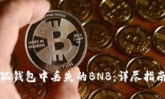 如何处理小狐钱包中丢失的BNB：详尽指