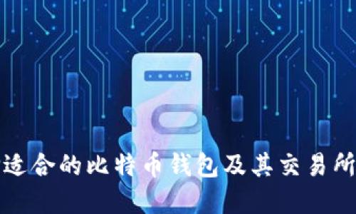 如何选择适合的比特币钱包及其交易所功能详解