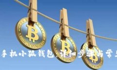  如何创建手机小狐钱包：详细步骤与