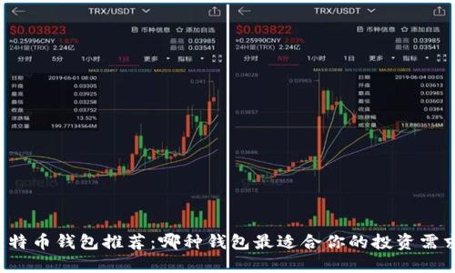 比特币钱包推荐:哪种钱包最适合你的投资需求?