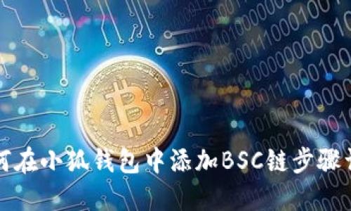 如何在小狐钱包中添加BSC链步骤详解